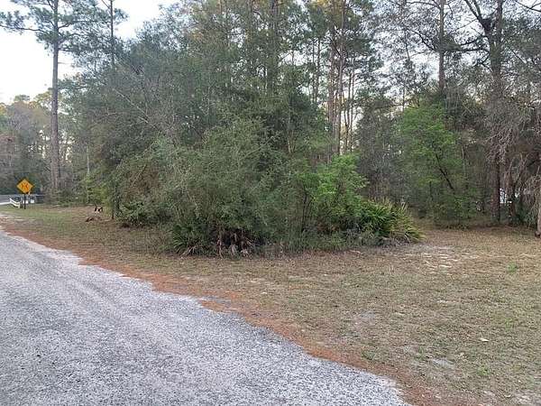 0.5 Acres of Residential Land for Sale in Sopchoppy, Florida