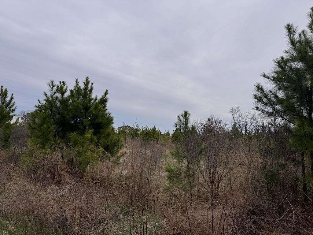 0.89 Acres of Land for Sale in Painter, Virginia