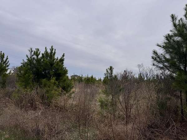 0.89 Acres of Land for Sale in Painter, Virginia