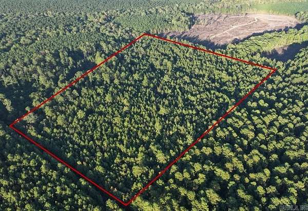 19.5 Acres of Recreational & Residential Land for Sale in Prattsville, Arkansas