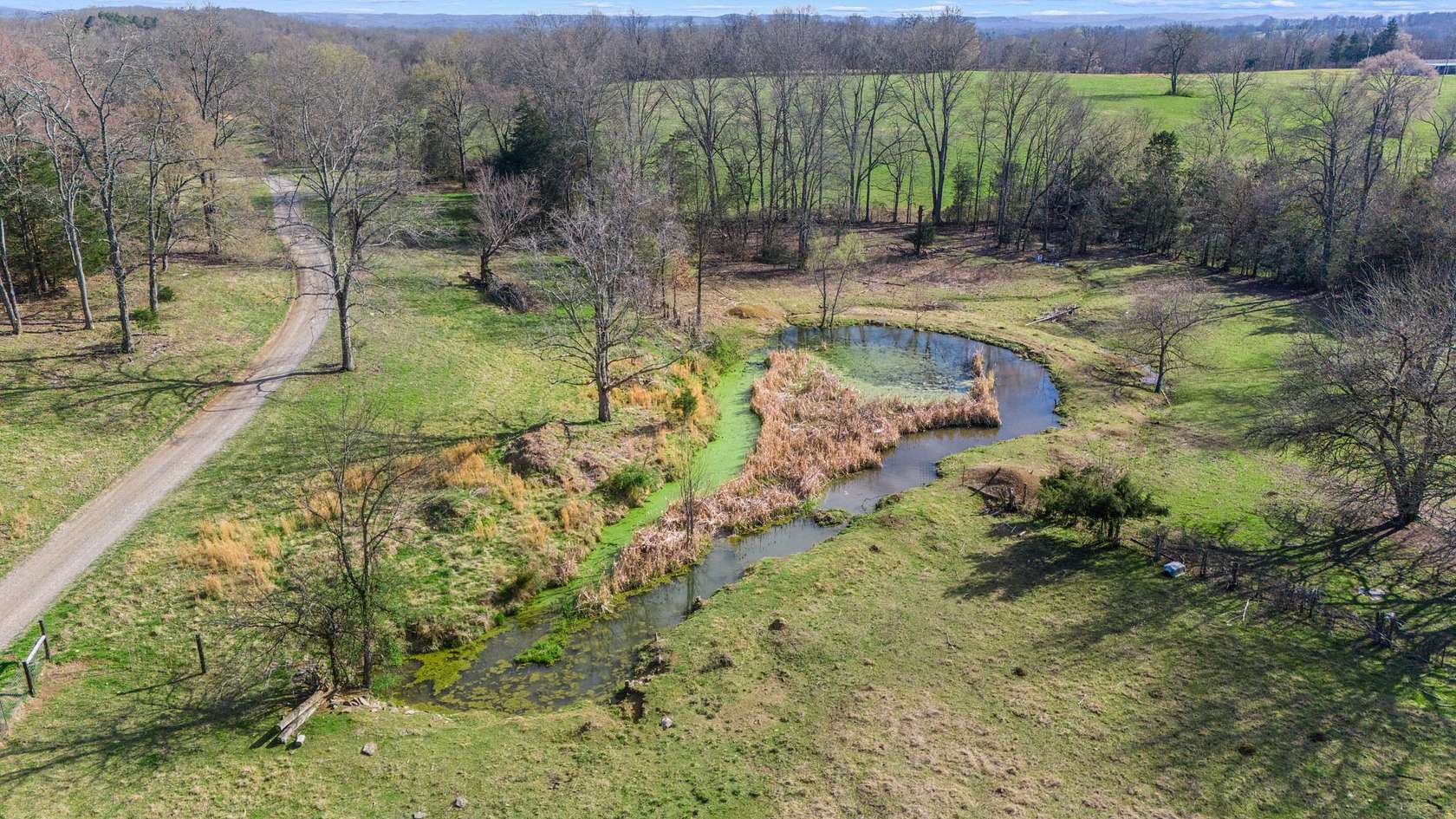 101 Acres of Land for Sale in Wartrace, Tennessee