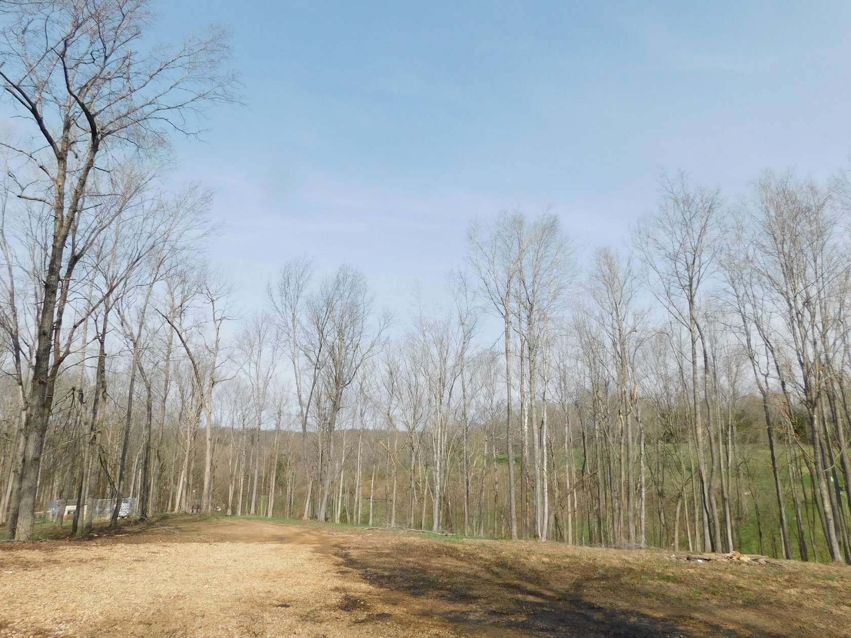 10.8 Acres of Land for Sale in Westmoreland, Tennessee