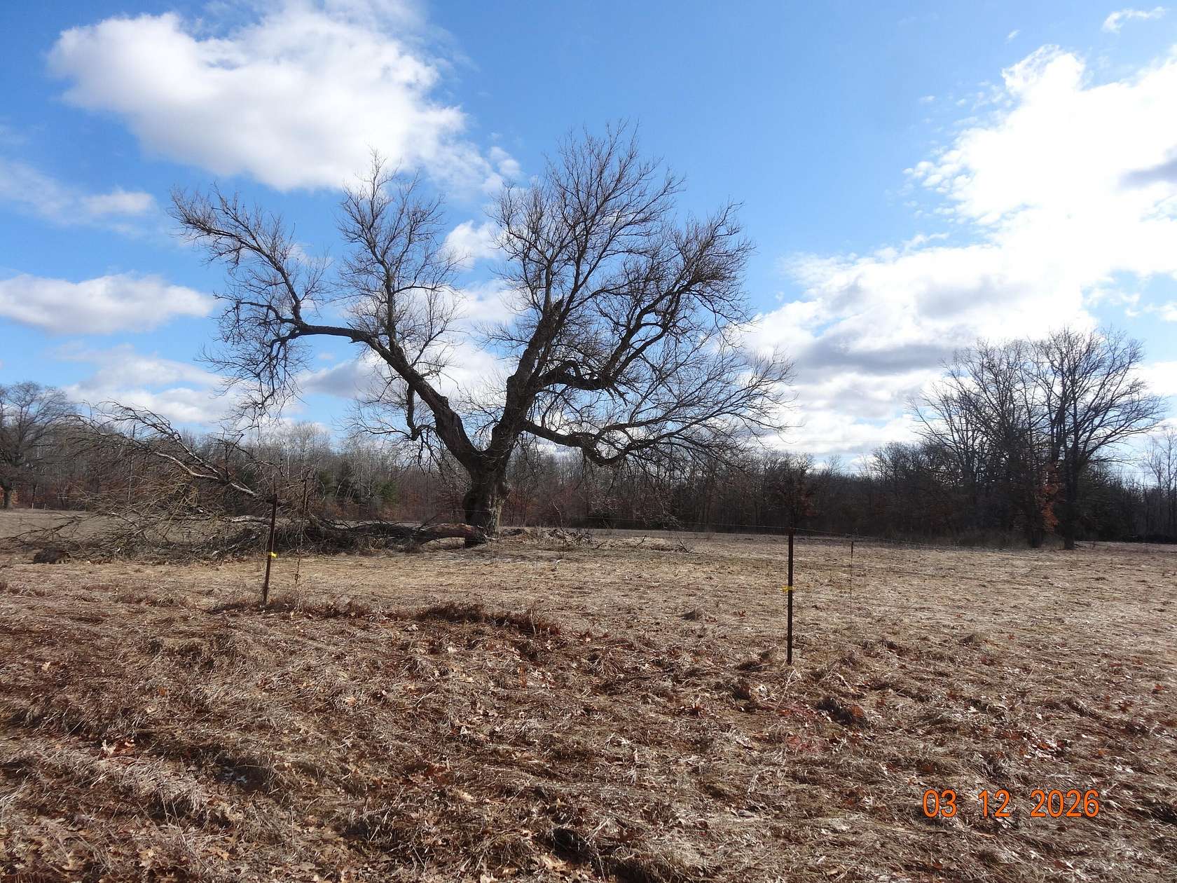 9.27 Acres of Residential Land for Sale in White Cloud, Michigan