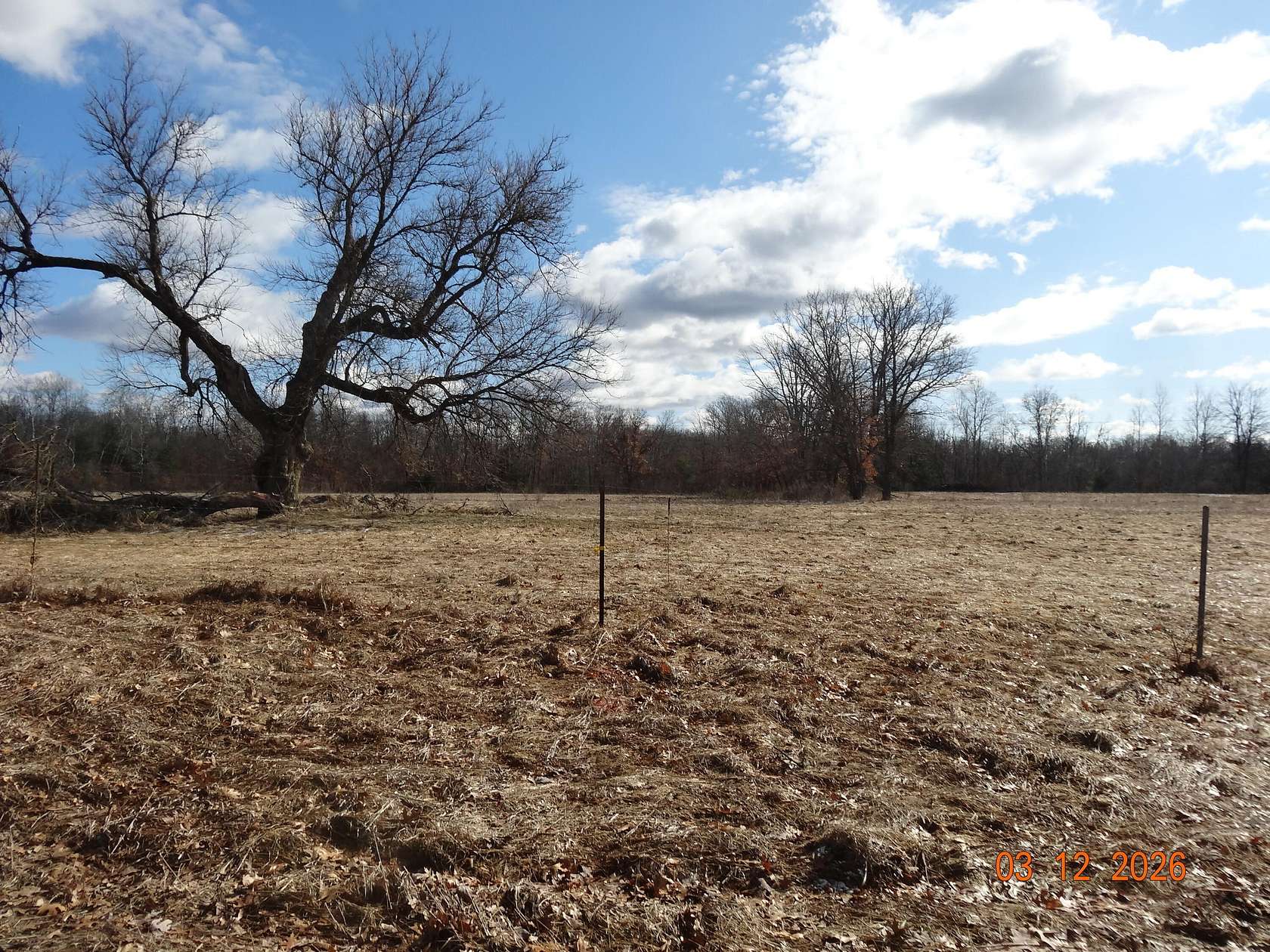 9.27 Acres of Residential Land for Sale in White Cloud, Michigan