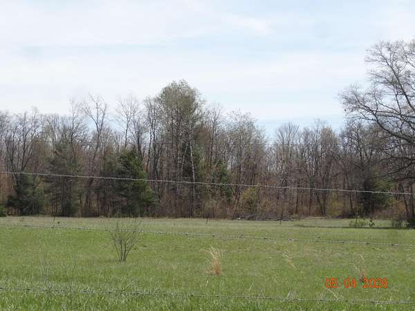 9.27 Acres of Residential Land for Sale in White Cloud, Michigan