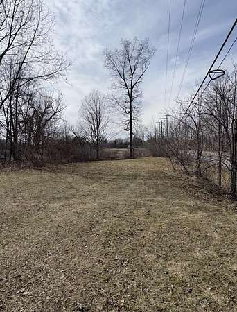 1 Acre of Residential Land for Sale in Ortonville, Michigan