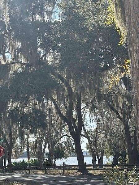 0.05 Acres of Land for Sale in Salt Springs, Florida