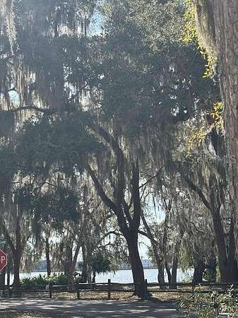 0.05 Acres of Land for Sale in Salt Springs, Florida