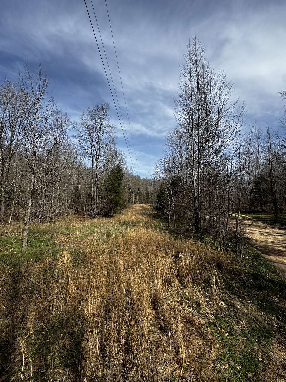 8.12 Acres of Residential Land for Sale in Linden, Tennessee