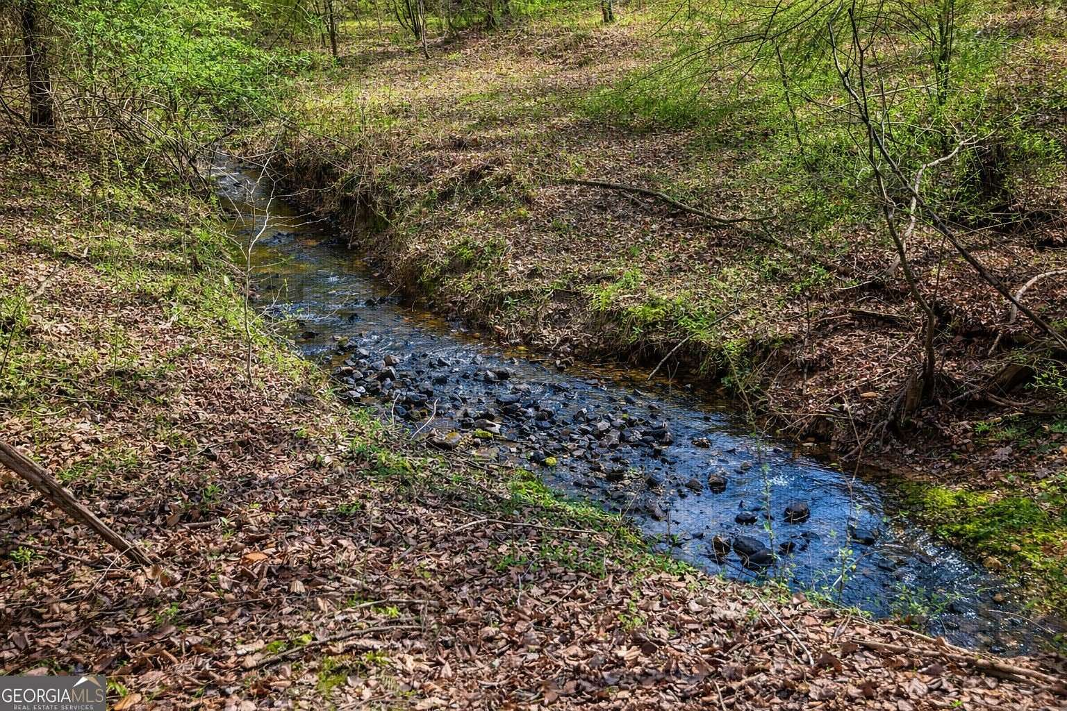 10.8 Acres of Recreational & Residential Land for Sale in Clarkesville, Georgia