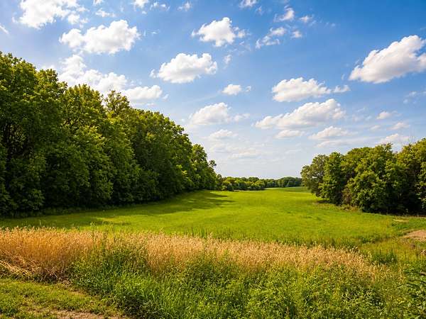 2.52 Acres of Residential Land for Sale in Credit River, Minnesota