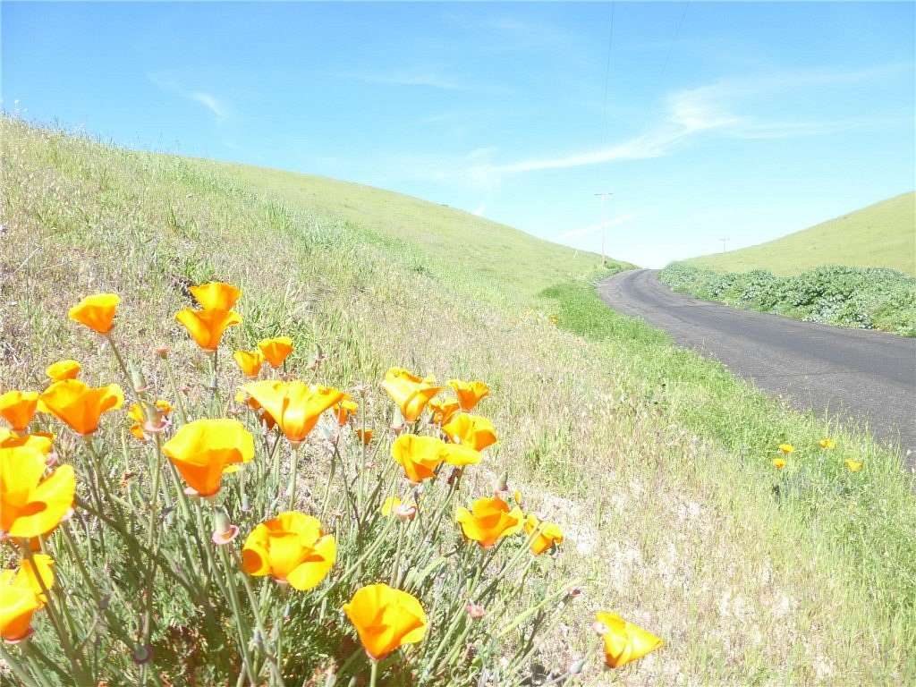 15.9 Acres of Recreational & Residential Land for Sale in San Miguel, California
