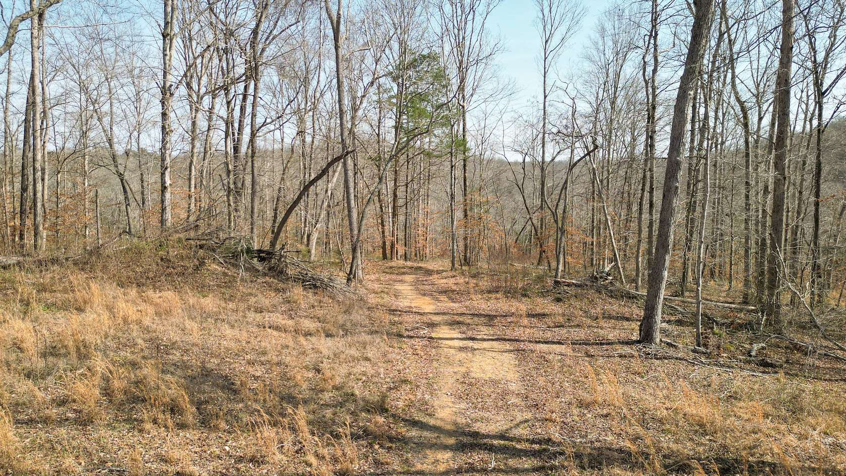 63 Acres of Recreational & Residential Land for Sale in Ashland City, Tennessee