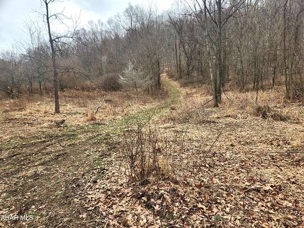 15 Acres of Recreational & Residential Land for Sale in Buffalo Mills, Pennsylvania