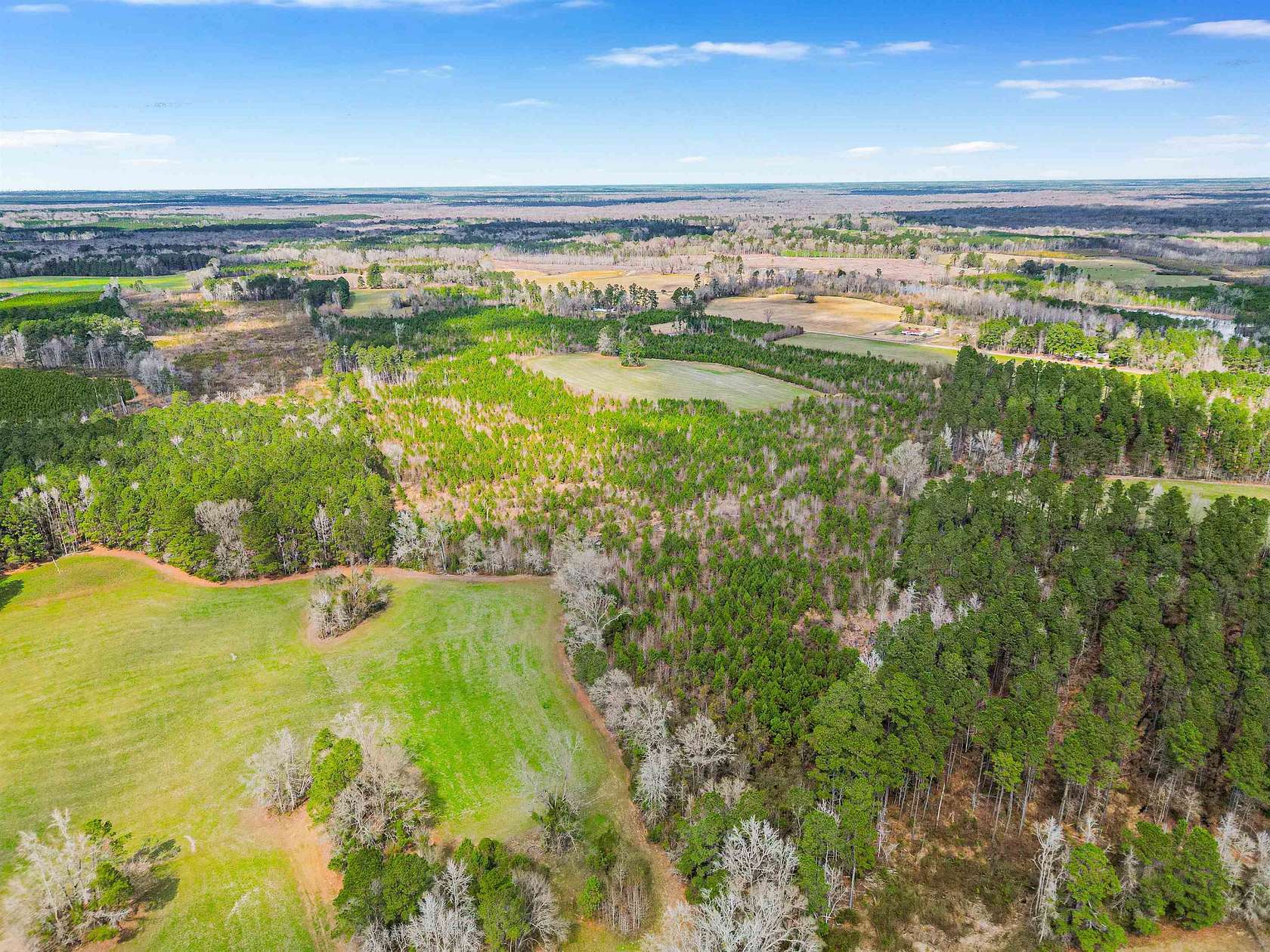 86.5 Acres of Recreational & Residential Land for Sale in Johnsonville, South Carolina