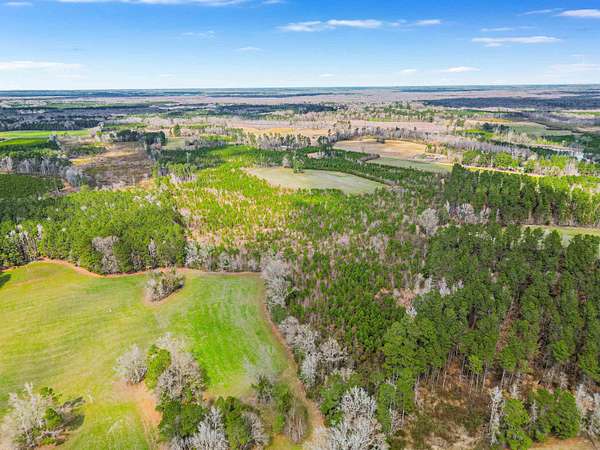 86.5 Acres of Recreational & Residential Land for Sale in Johnsonville, South Carolina