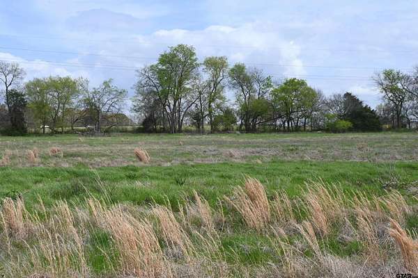 0.57 Acres of Residential Land for Sale in Alba, Texas
