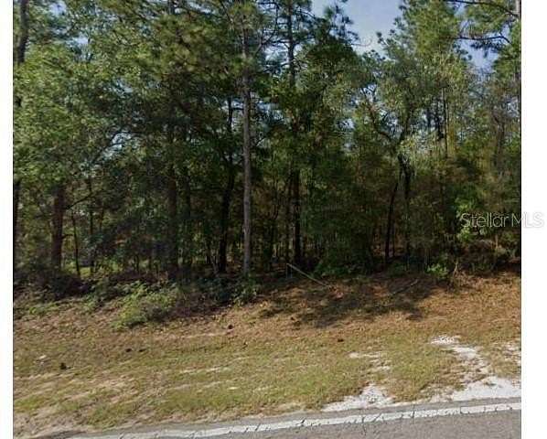 1 Acre of Residential Land for Sale in Beverly Hills, Florida