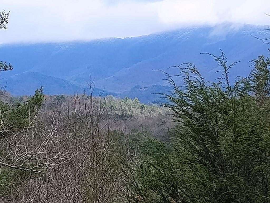 0.8 Acres of Residential Land for Sale in Ellijay, Georgia