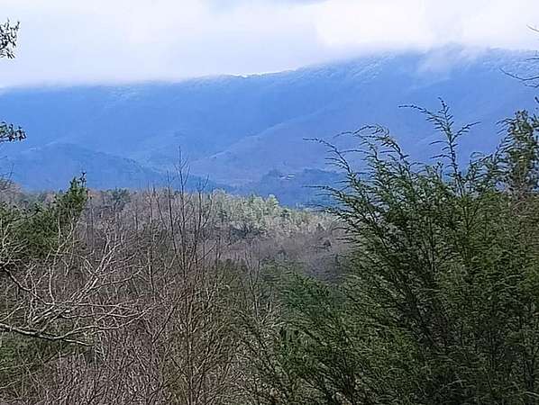0.8 Acres of Residential Land for Sale in Ellijay, Georgia
