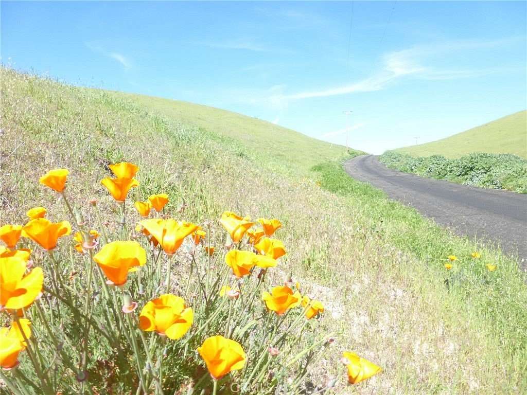 36.6 Acres of Agricultural Land for Sale in San Miguel, California