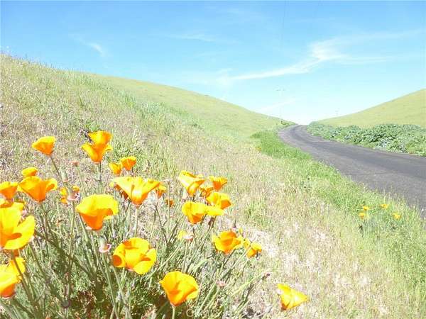 36.6 Acres of Land for Sale in San Miguel, California