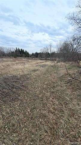 10.8 Acres of Land for Sale in Bridgewater Township, Michigan