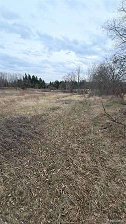 10.8 Acres of Land for Sale in Manchester, Michigan