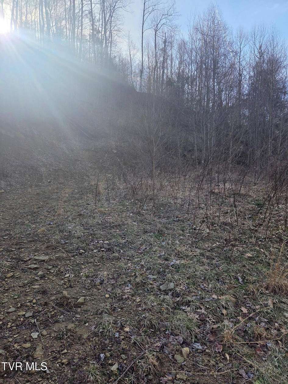 9.6 Acres of Land for Sale in Roan Mountain, Tennessee