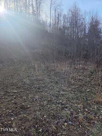 9.6 Acres of Land for Sale in Roan Mountain, Tennessee