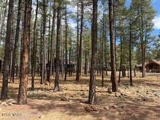 0.39 Acres of Residential Land for Sale in Pinetop, Arizona