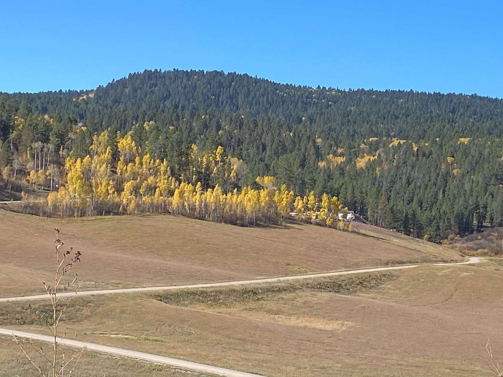 5.29 Acres of Residential Land for Sale in Wayan, Idaho