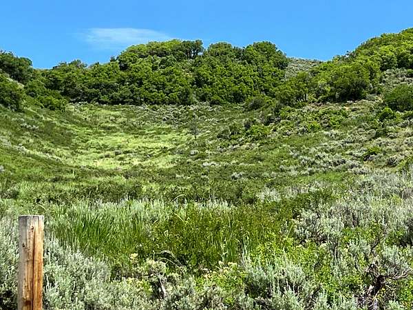 35 Acres of Recreational Land for Sale in Steamboat Springs, Colorado