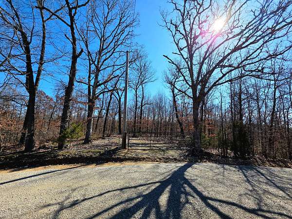 39 Acres of Recreational & Residential Land for Sale in Fordland, Missouri