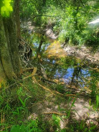 5.55 Acres of Land for Sale in Bolivar, Missouri