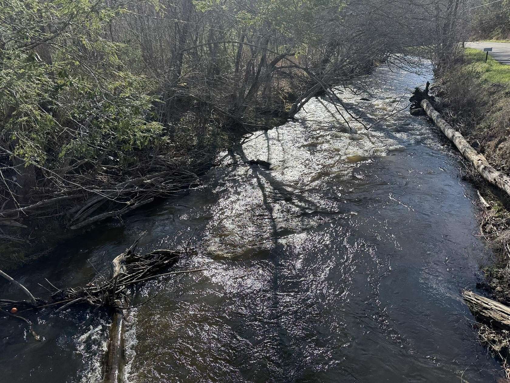 18.3 Acres of Land for Sale in Hartford, Tennessee