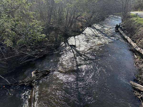 18.3 Acres of Land for Sale in Hartford, Tennessee