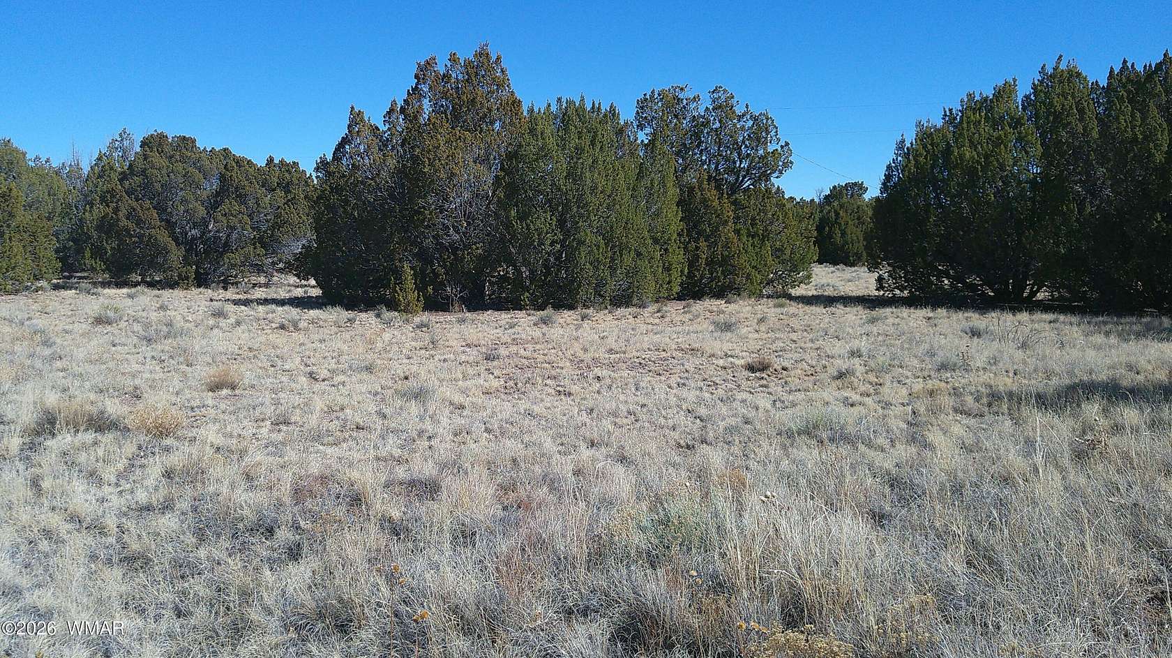 0.96 Acres of Residential Land for Sale in Concho, Arizona