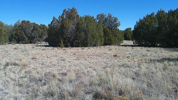 0.96 Acres of Residential Land for Sale in Concho, Arizona