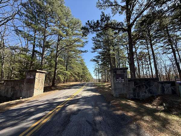 24.5 Acres of Recreational & Residential Land for Sale in Salem, Missouri