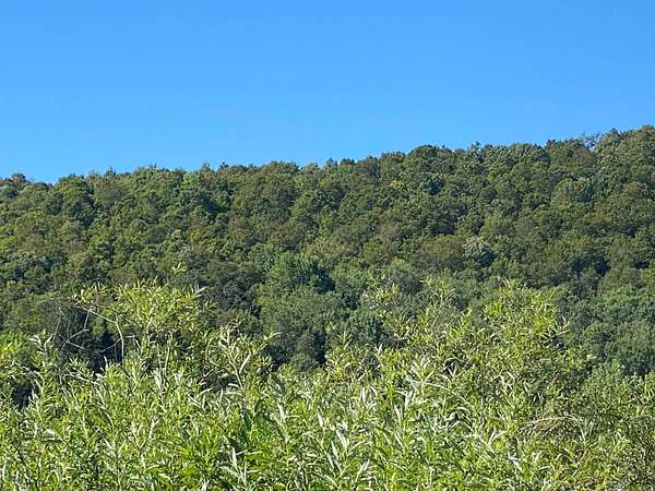 35.7 Acres of Land for Sale in East Meredith, New York