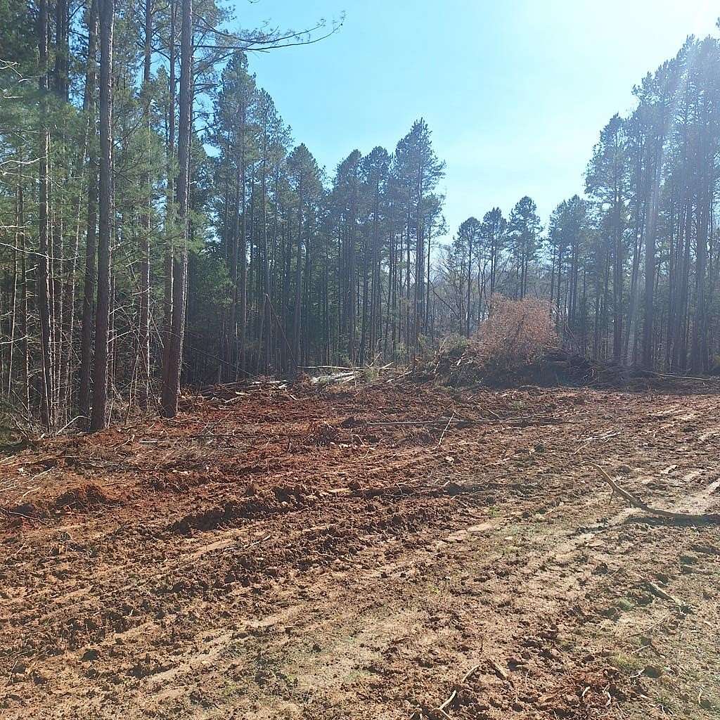 4.65 Acres of Residential Land for Sale in Buffalo Junction, Virginia