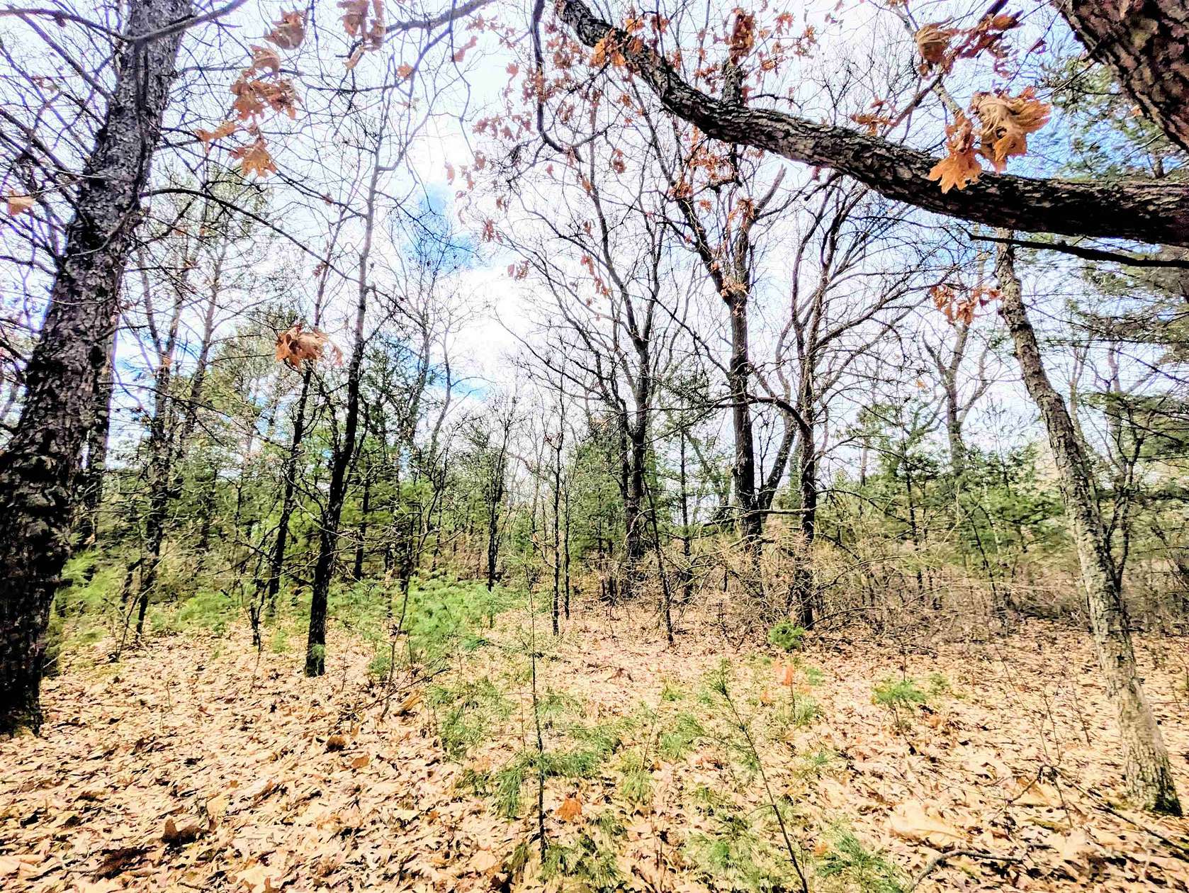 1.4 Acres of Residential Land for Sale in Grand Marsh, Wisconsin