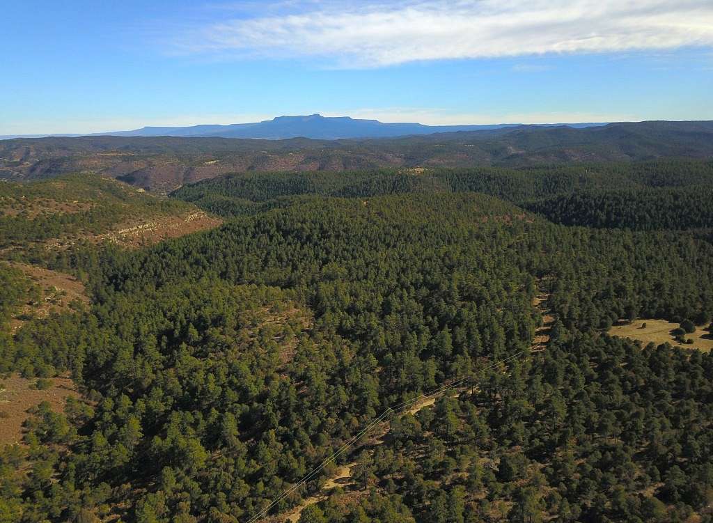 40.4 Acres of Land for Sale in Trinidad, Colorado