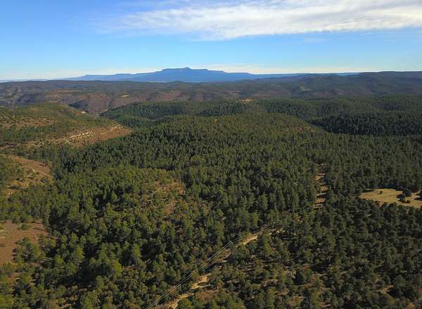 40.4 Acres of Land for Sale in Trinidad, Colorado
