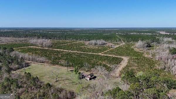 70.4 Acres of Land for Sale in Odum, Georgia