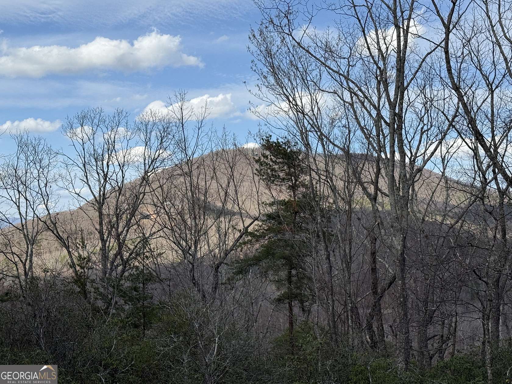 1.5 Acres of Residential Land for Sale in Cleveland, Georgia