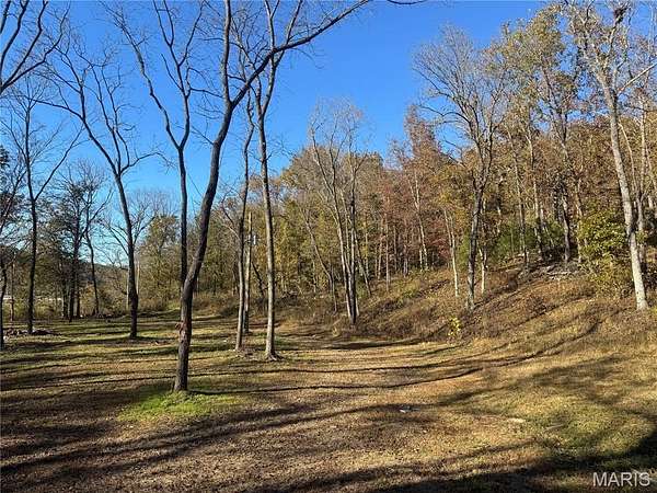 119 Acres of Land for Sale in Dixon, Missouri