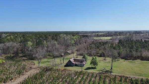 70.4 Acres of Land for Sale in Odum, Georgia