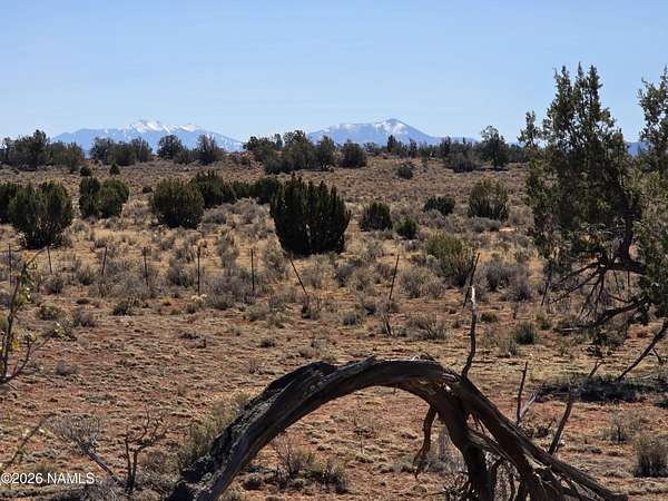 10 Acres of Land for Sale in Williams, Arizona